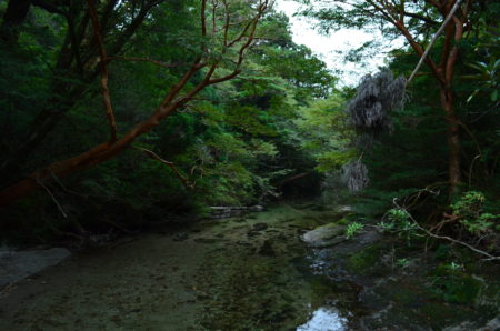 屋久島,リゾートバイト,体験談,ブログ,英語 屋久島,リゾートバイト,体験談,ブログ,英語